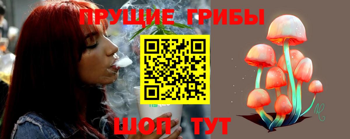 Псилоцибиновые грибы GOLDEN TEACHER  Вход с VPN  Кировск 